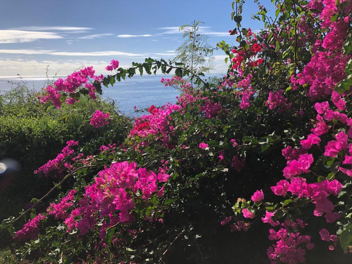 Apartment Ocean Dream Apartment- Air Condition Funchal (Madeira)