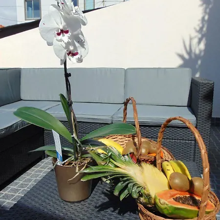 Ocean Dream Apartment- Air Condition Funchal  Exterior photo